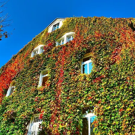 Schoena Einliegerwohnung Reinhardtsdorf-Schona